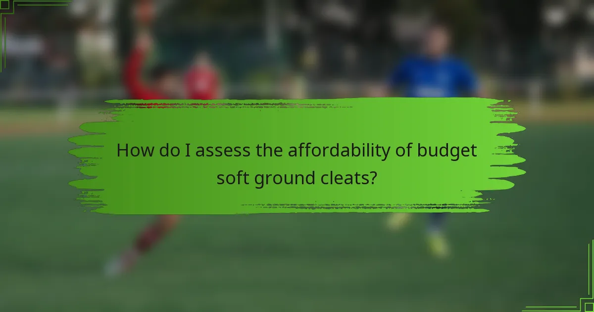 How do I assess the affordability of budget soft ground cleats?